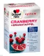 Doppelherz Cranberry + Granatapfel system